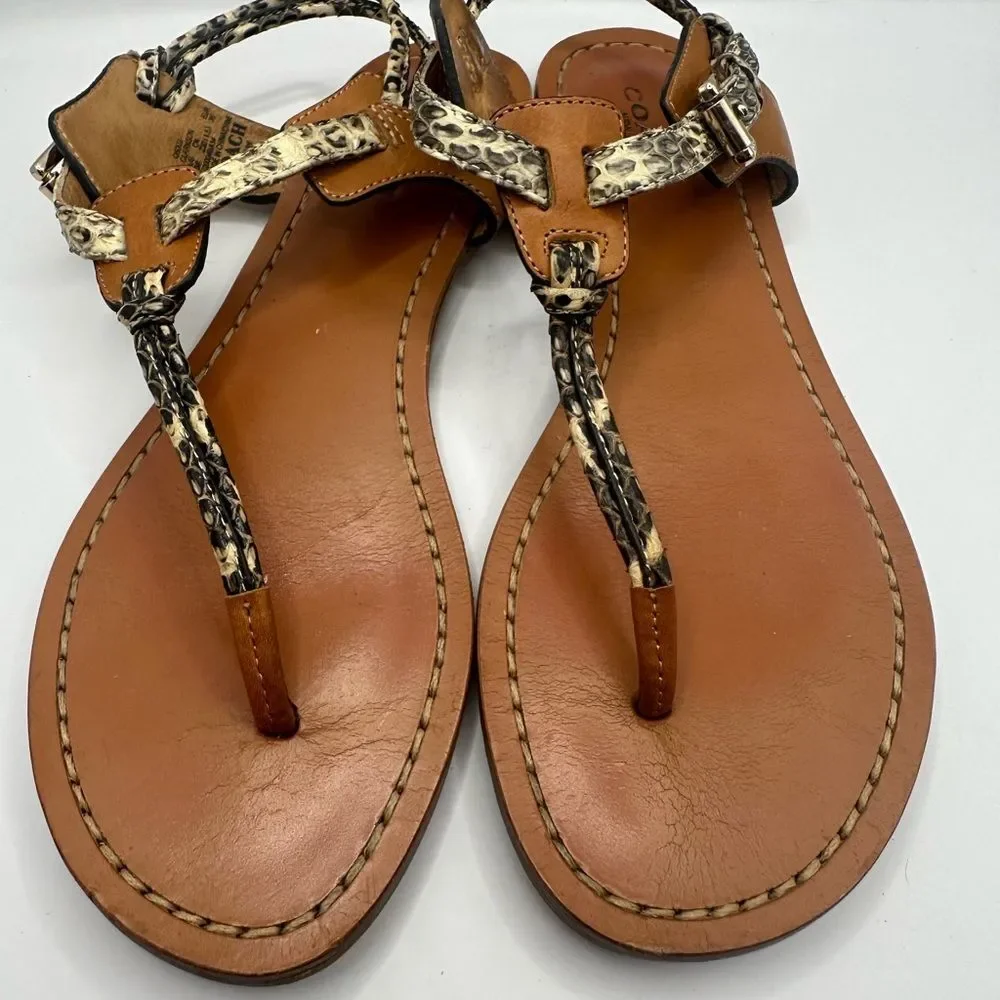 Coach Clarkson women,Snake print, Roccia Ginger thong Sandal Size 6